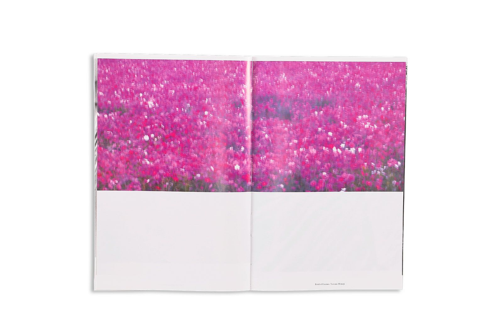 Epoi Visual Book 「House, Handsand Intimate Debris」